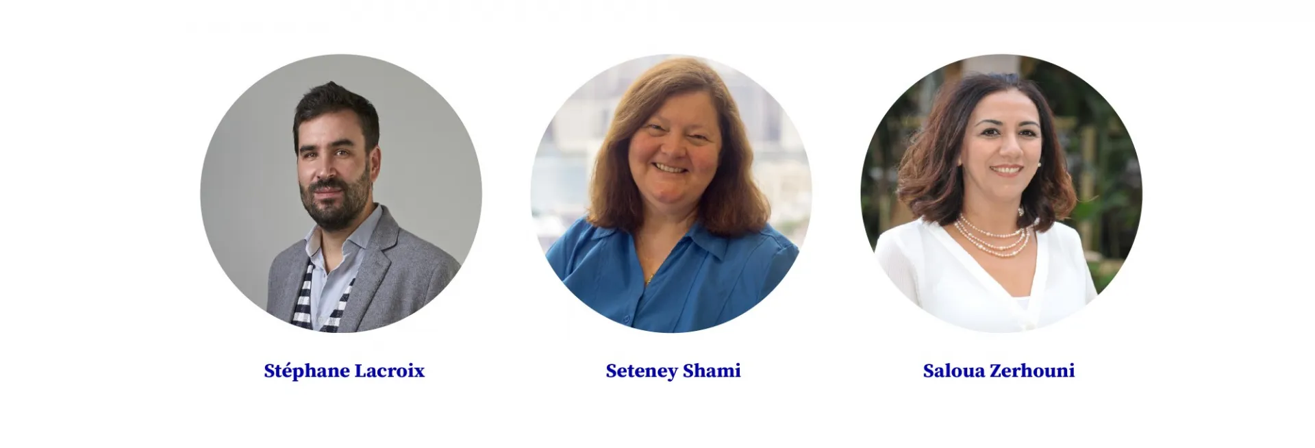 REMENA Team