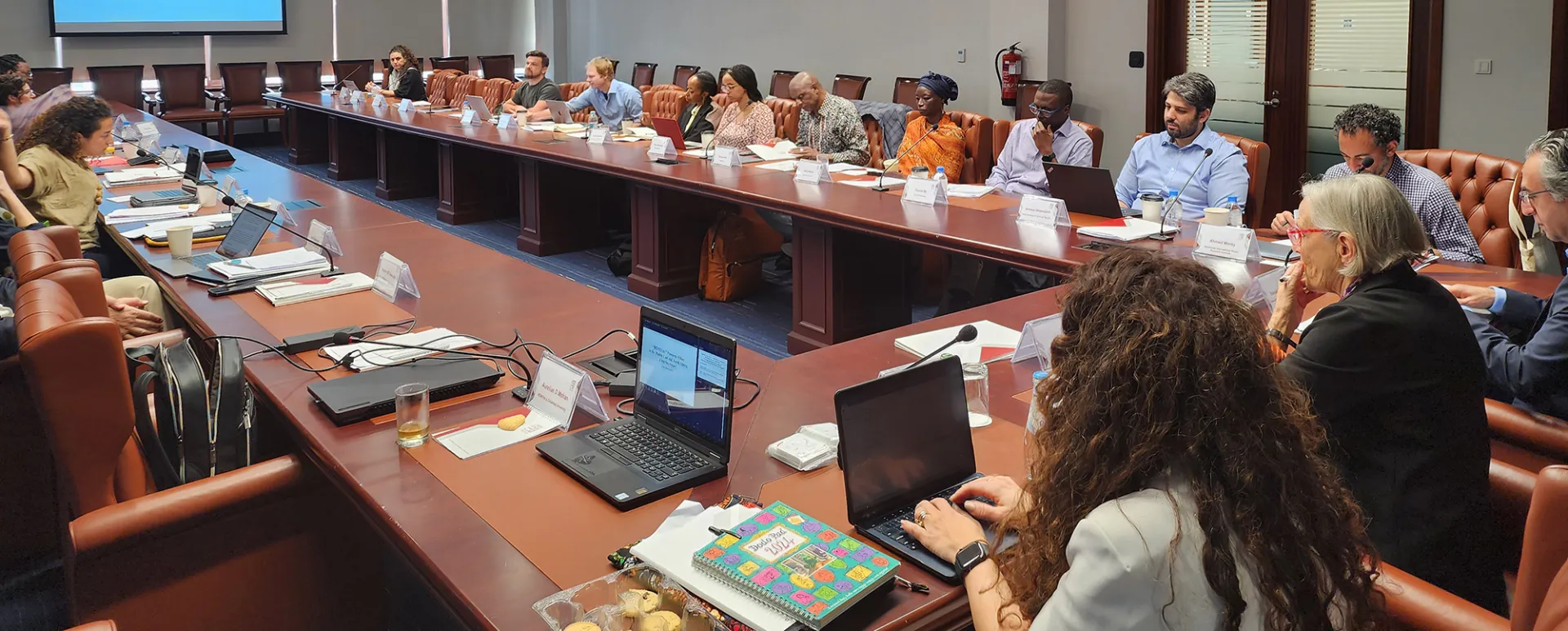 REMENA Research Workshop in Doha