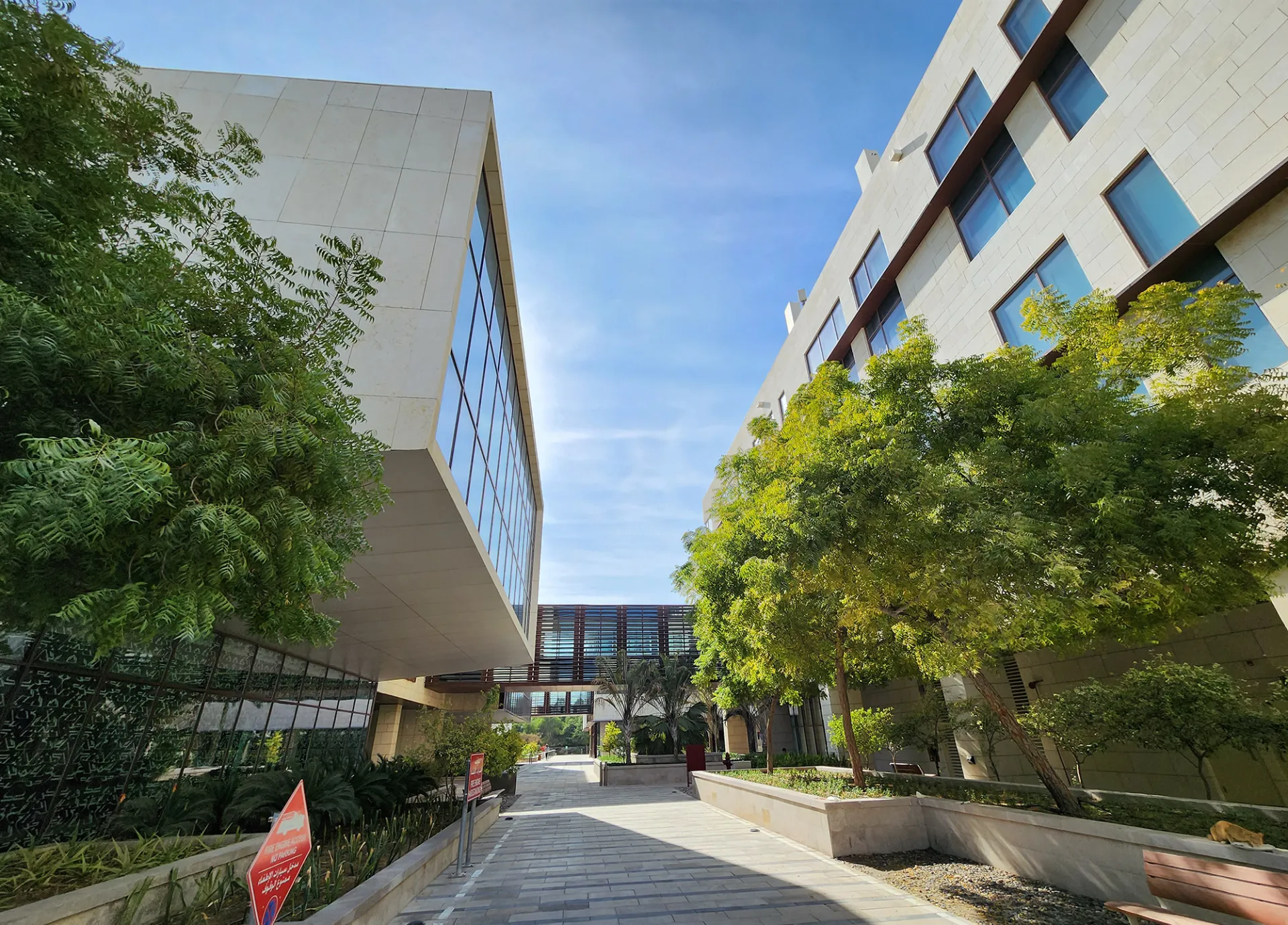 Doha Institute for Graduate Studies